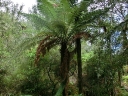 waitomo (42)